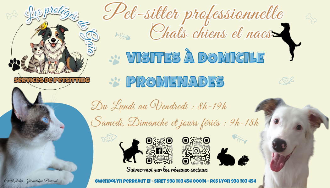 Les protégés de Gaïa 🔥Pet-sitter Chat Chien NAC à Sarcey et alentours 🐾Visites à domicile 🐾Promenades