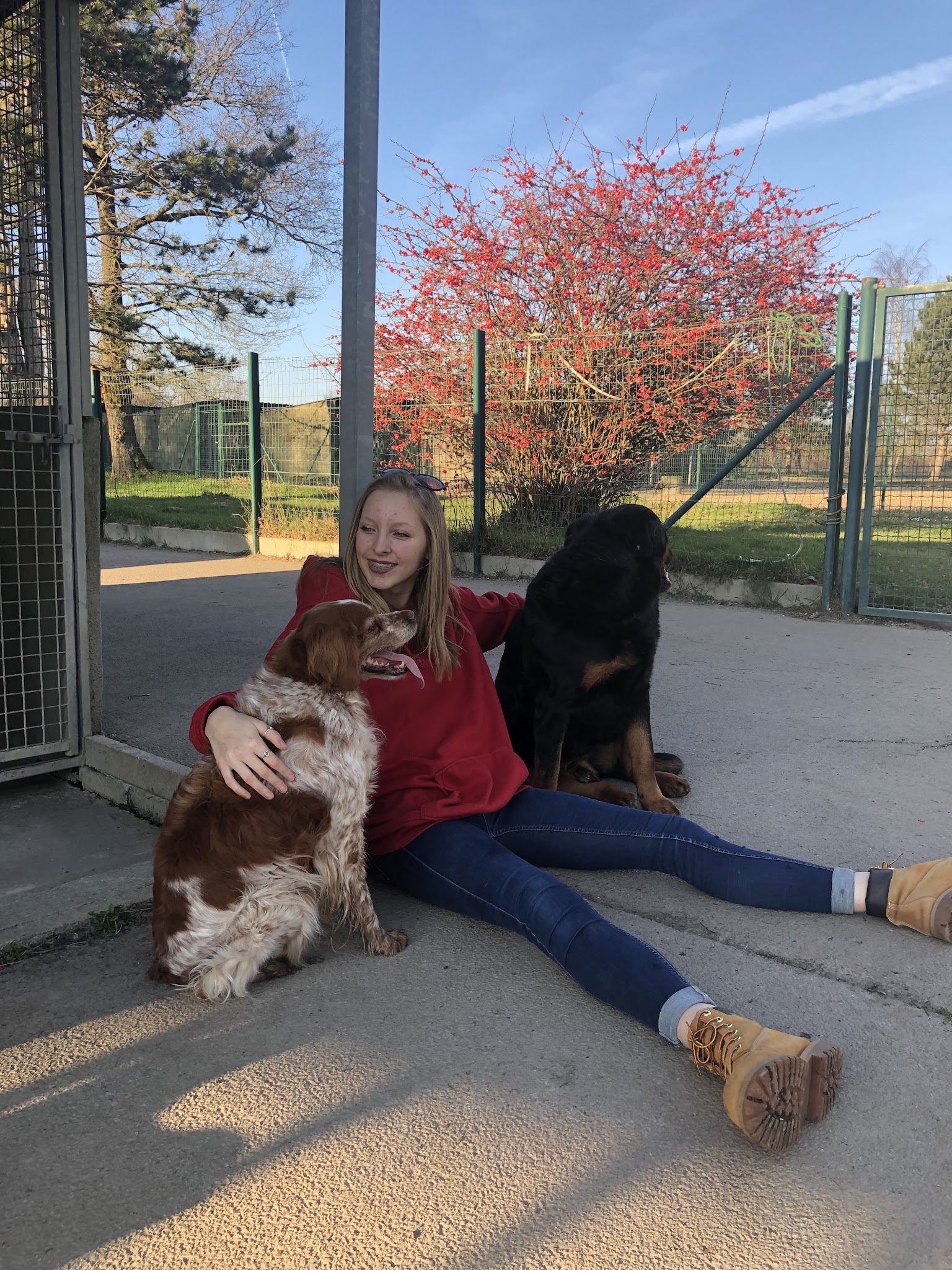 La Douce Vallée - Pension pour chien et chat — photo