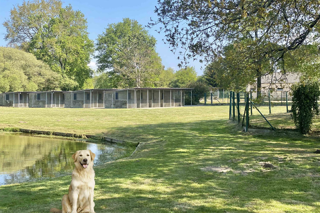 La Douce Vallée - Pension pour chien et chat