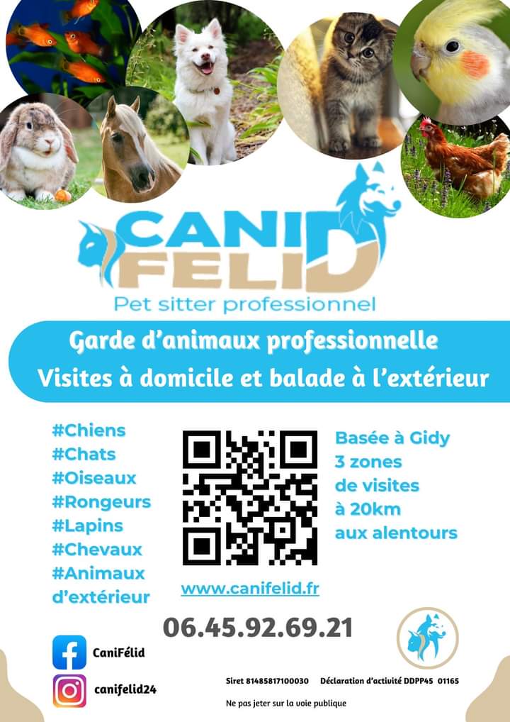 CaniféliD — photo