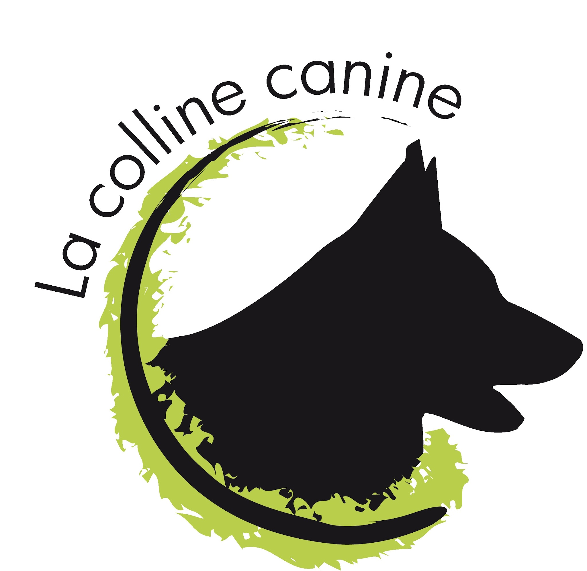 La colline canine — photo