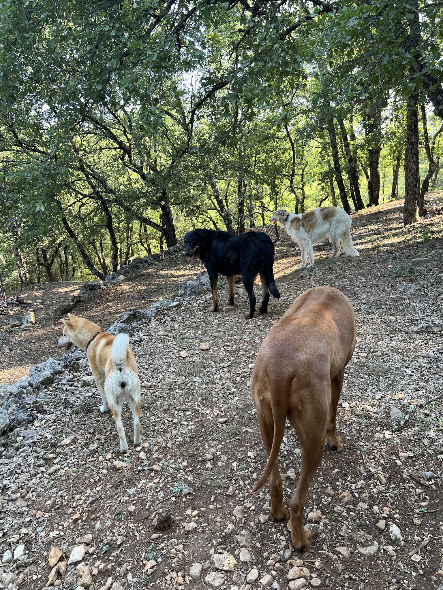 Les copains d'Elsa and Co — photo