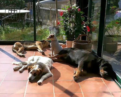 Les copains d'Elsa and Co