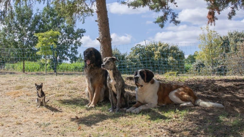 La Ferme de Charlotte — photo
