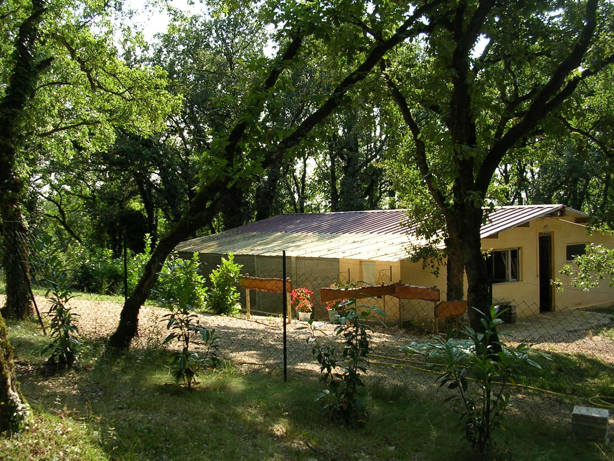 Domaine De La Chesnaie - Pension Canine — photo