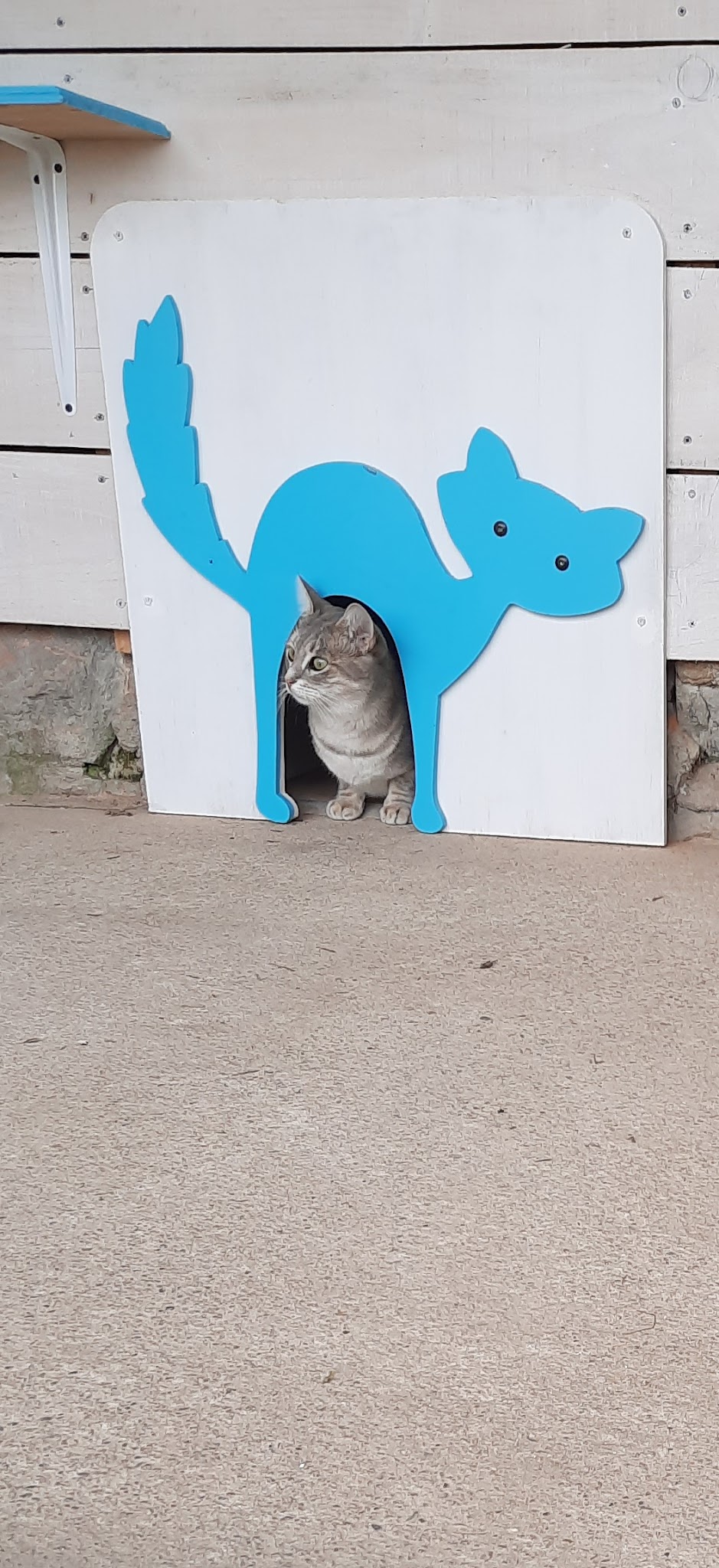 Le Mas Sagré Sulou — photo