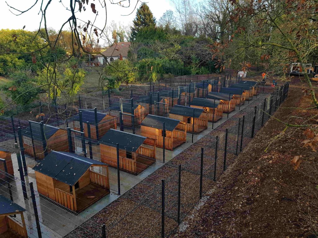 Le bois d’Avanton pension canine — photo