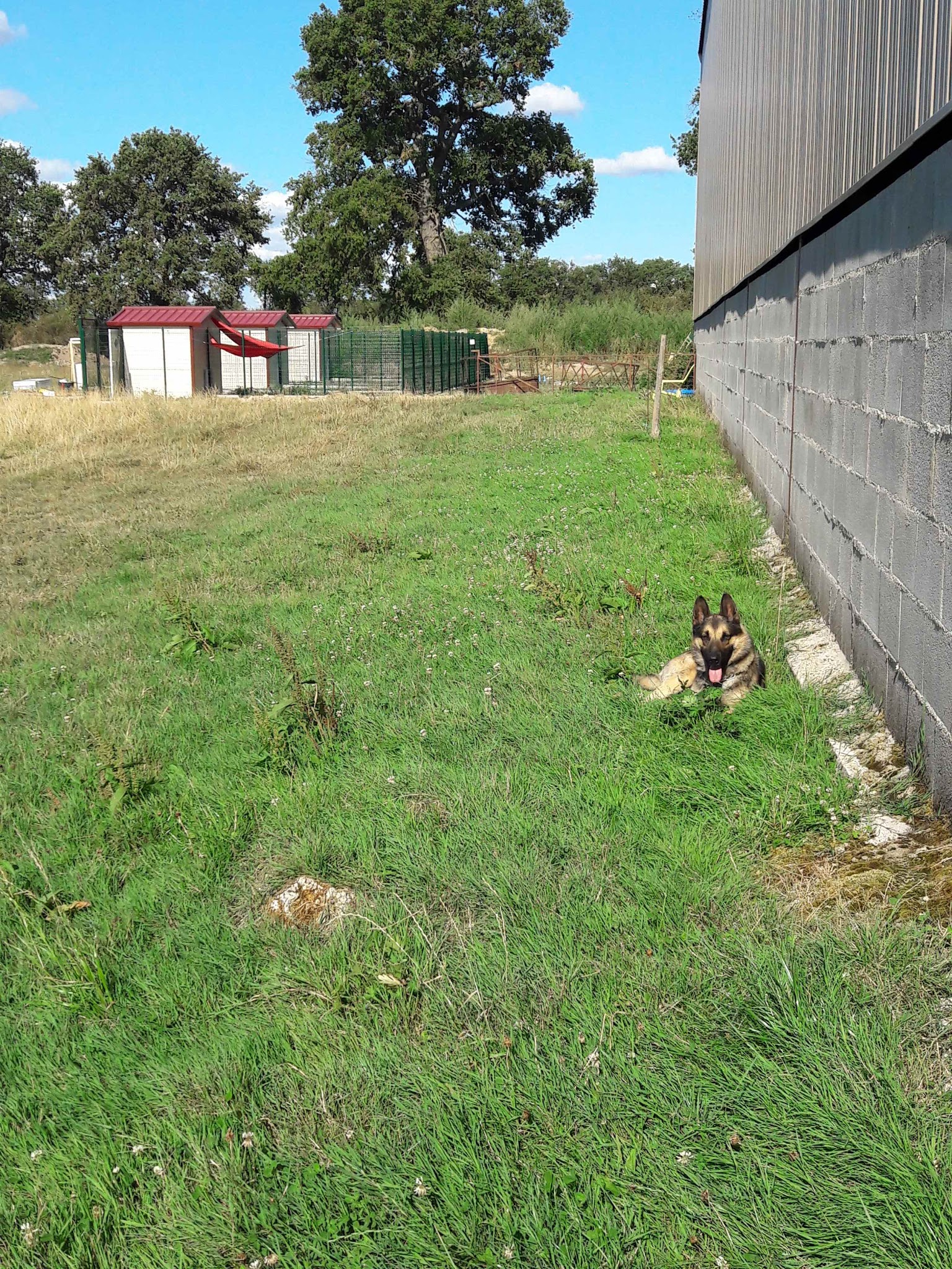 Pension de Tralage — photo