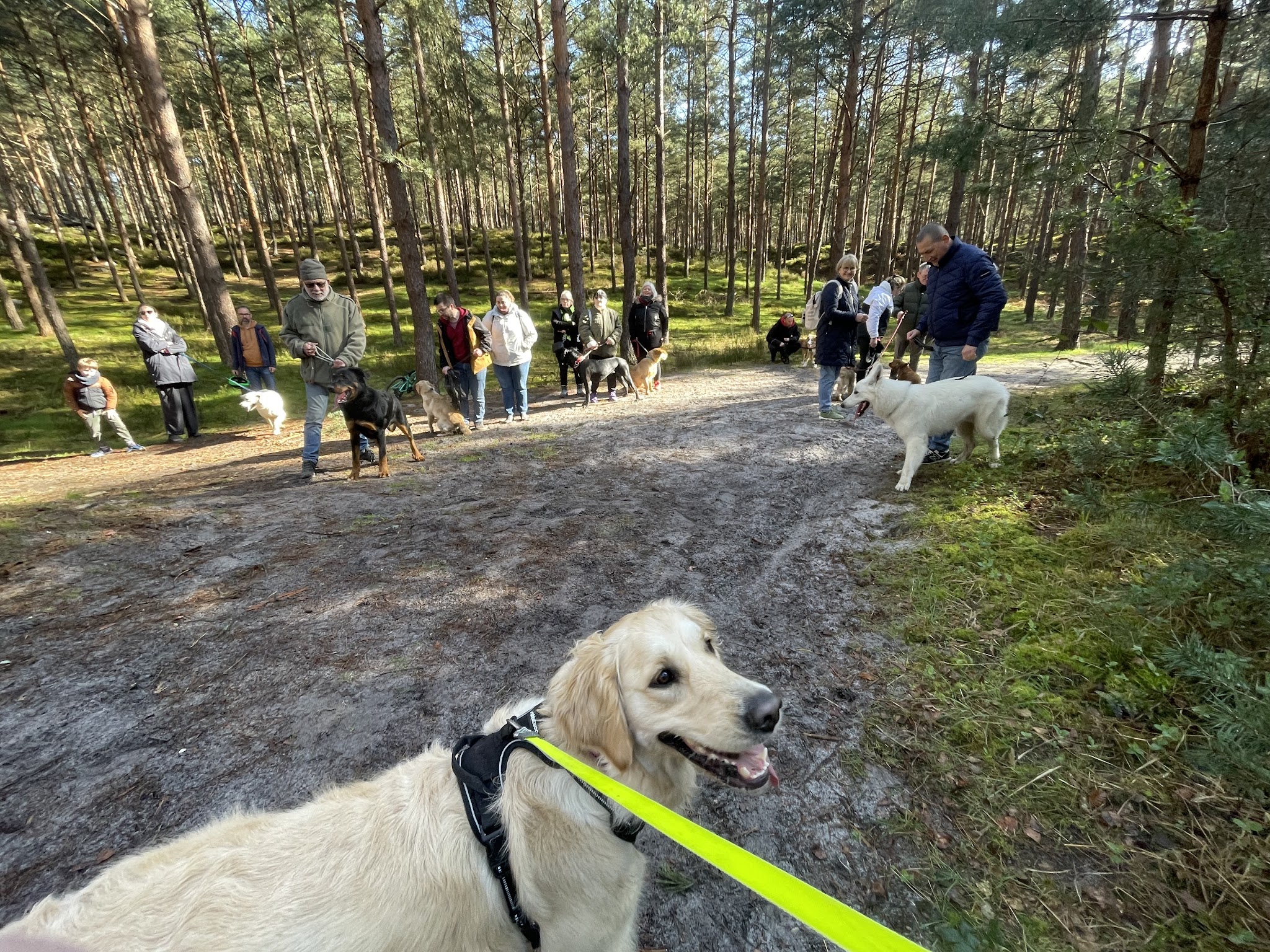Joel Chevillard Educateur Comportementaliste Canin Certifié — photo