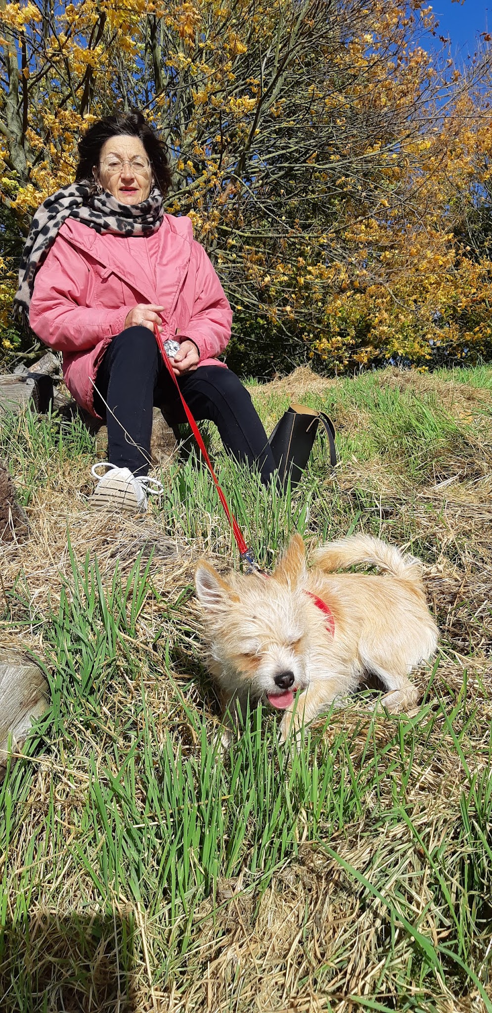 Joel Chevillard Educateur Comportementaliste Canin Certifié — photo