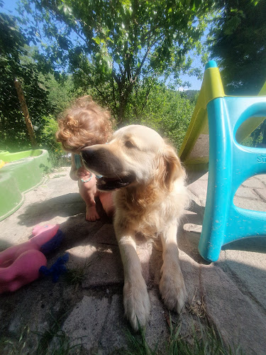 Auberge canine de Saint Pierre