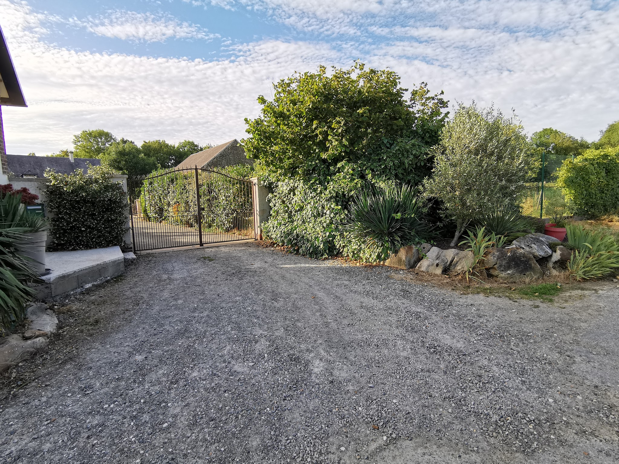 DES LOUPS DU VAL DE BRAYE — photo