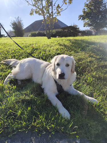Lucie Durand - Educateur comportementaliste Canin - Pet Sitter