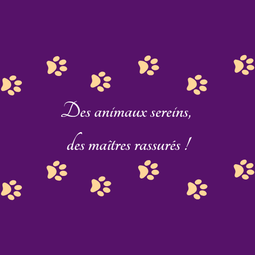 Au Poil