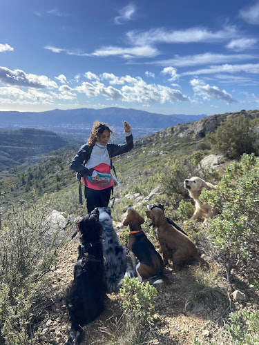 MA PEPETTE MARSEILLE petsitter & dogwalker