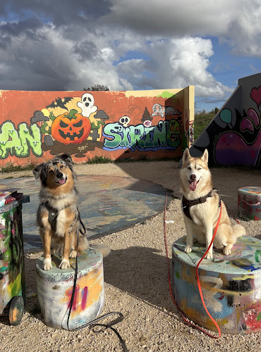 Petsitter professionnelle à votre domicile - Éducation canine & loisirs - Professeur de DOGA 🐾
