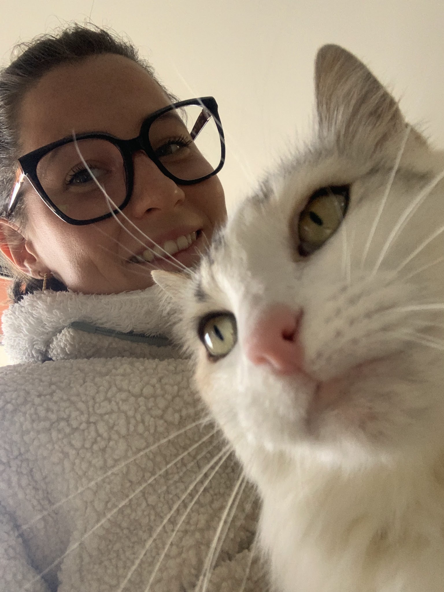 Petsitter professionnelle à votre domicile - Éducation canine & loisirs - Professeur de DOGA 🐾 — photo