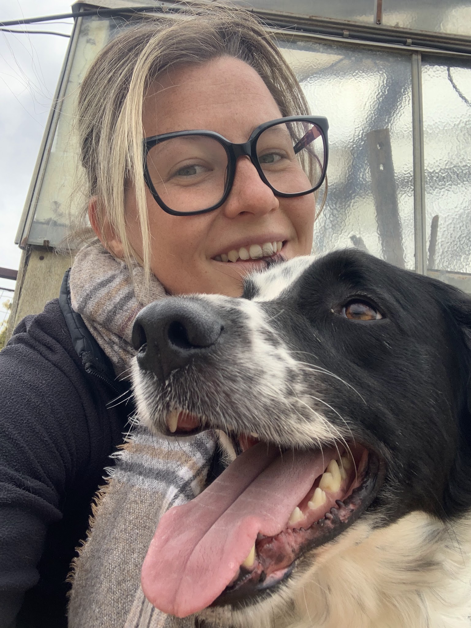 Petsitter professionnelle à votre domicile - Éducation canine & loisirs - Professeur de DOGA 🐾 — photo