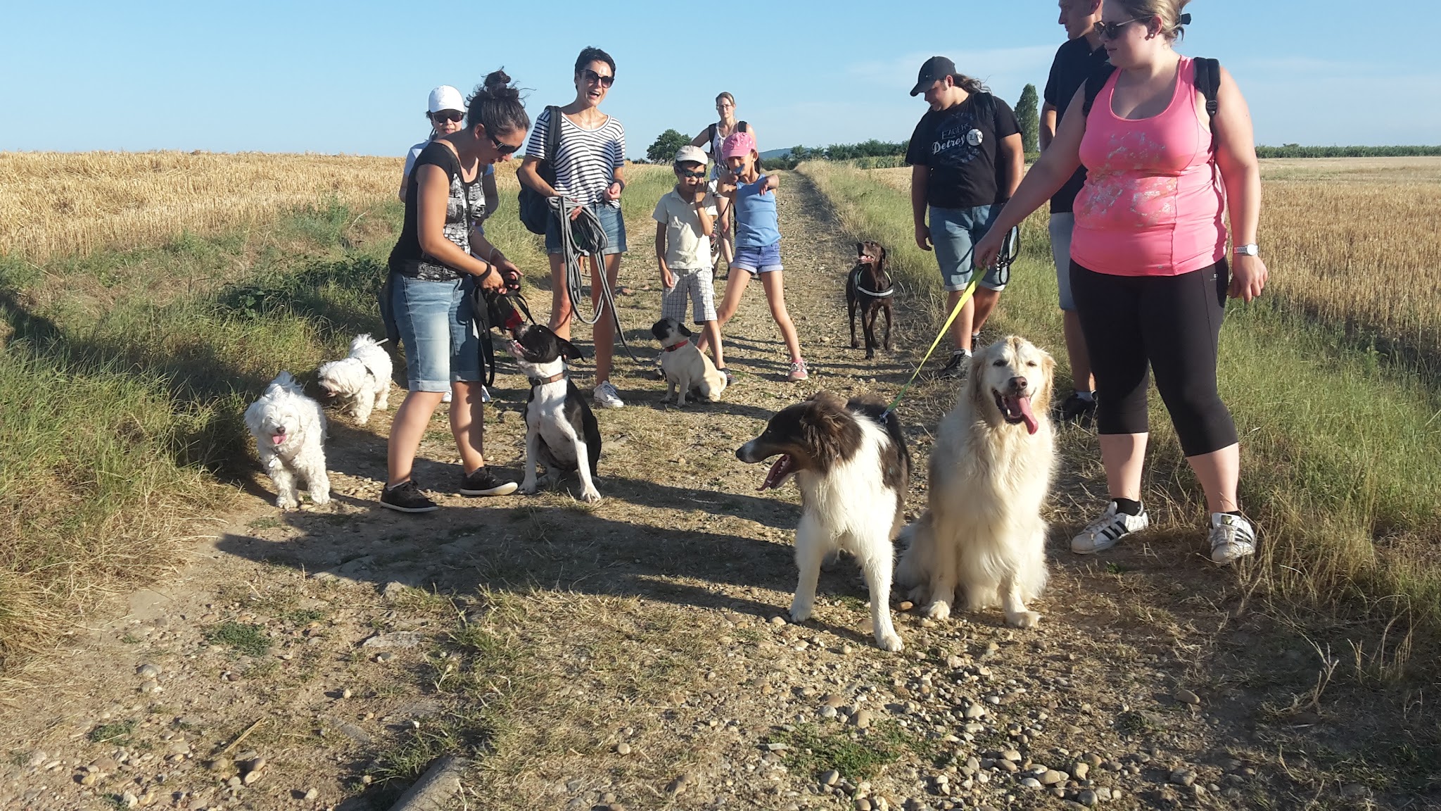 Solyne BECAS Éducateur canin — photo