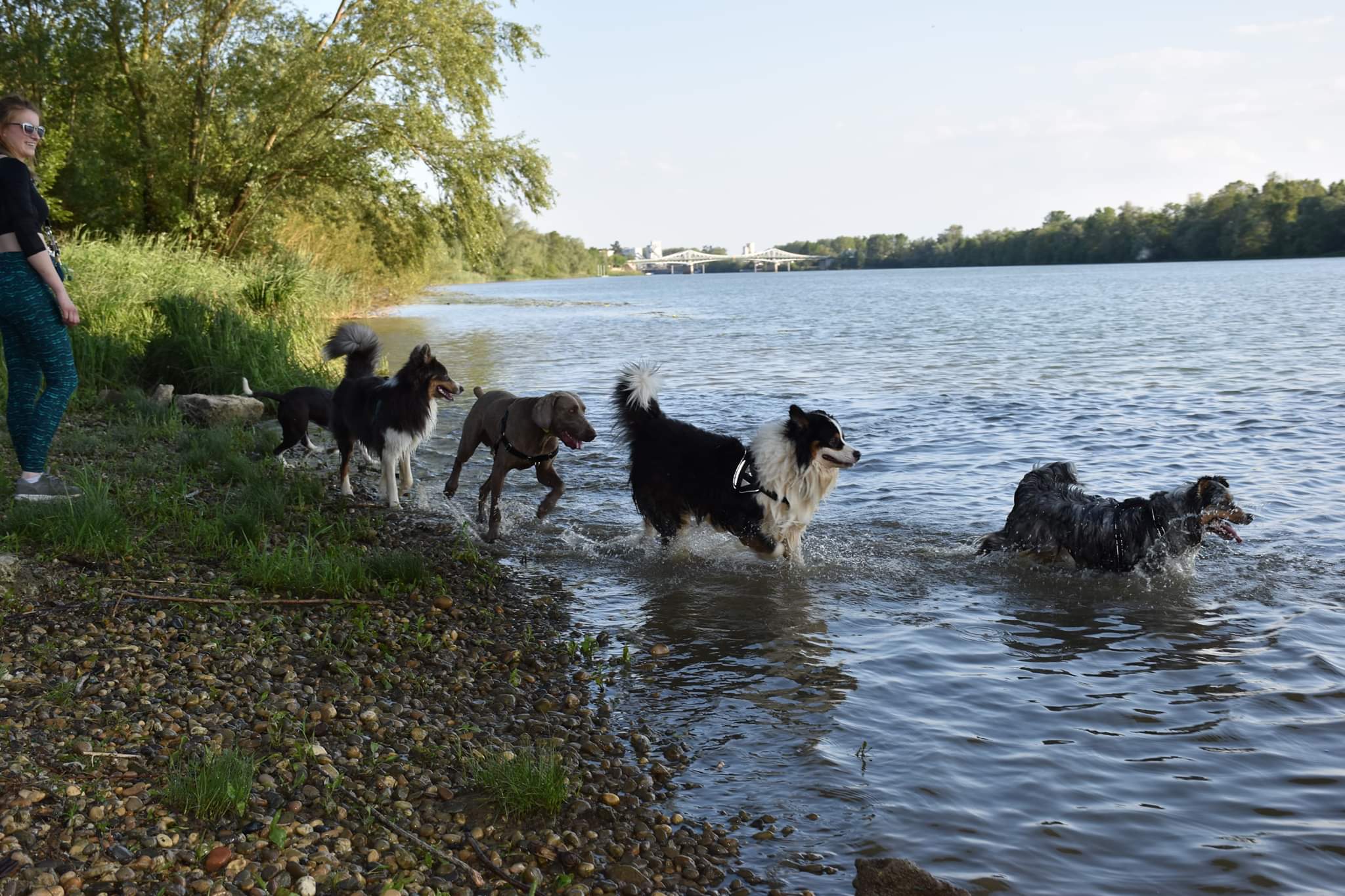Solyne BECAS Éducateur canin — photo