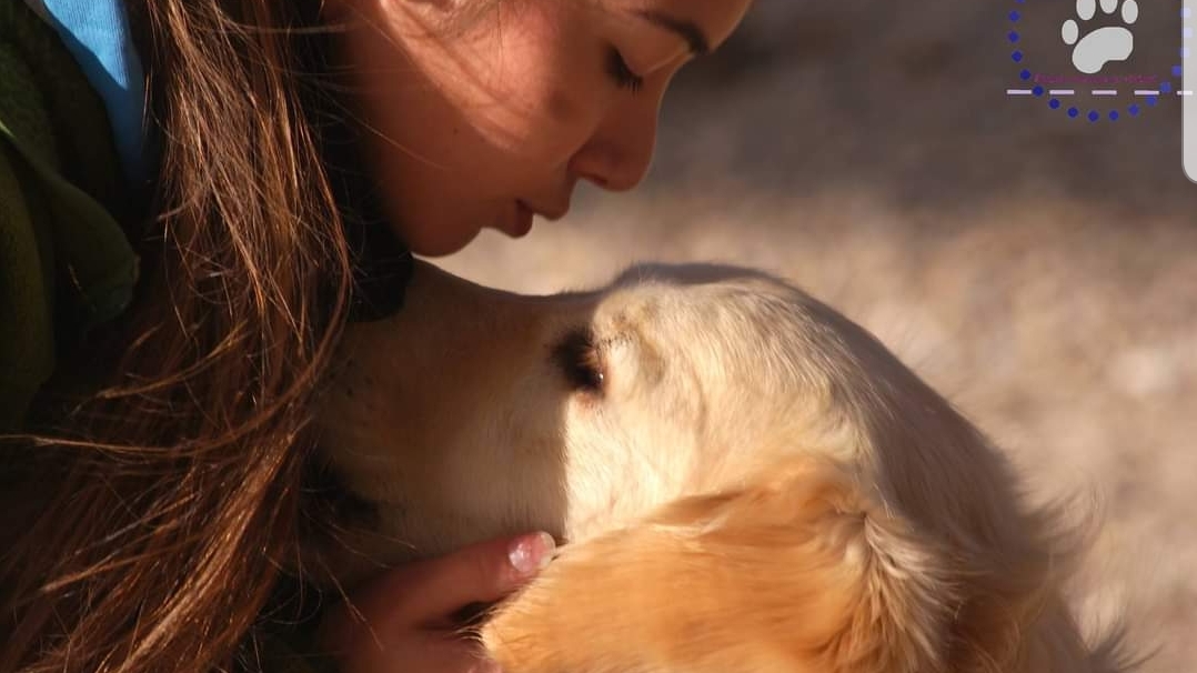 Solyne BECAS Éducateur canin