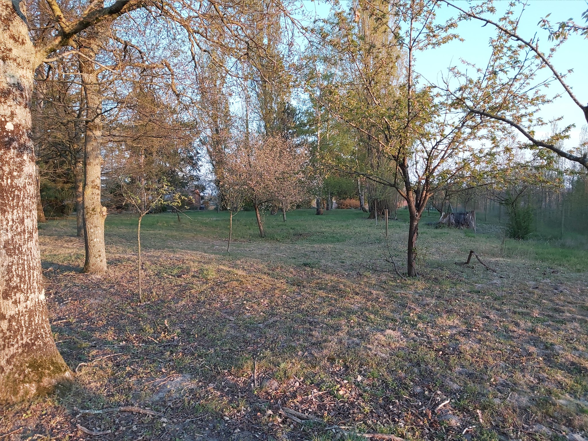 Pension Les Cadioux — photo