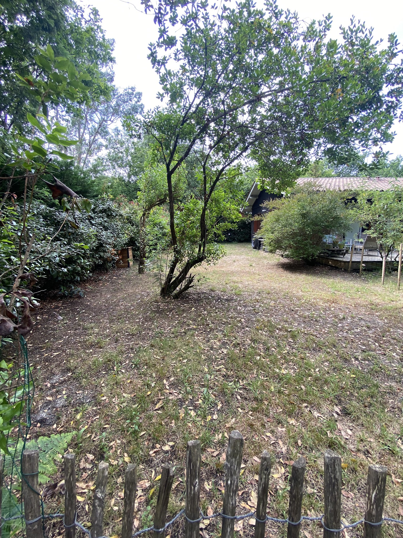 CapDog and Co — Garde d’animaux Taussat Lanton — photo