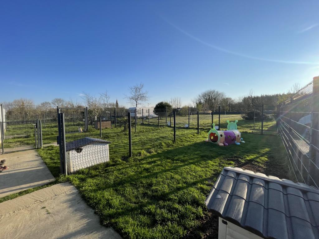 Pension Canine dans la Manche — photo