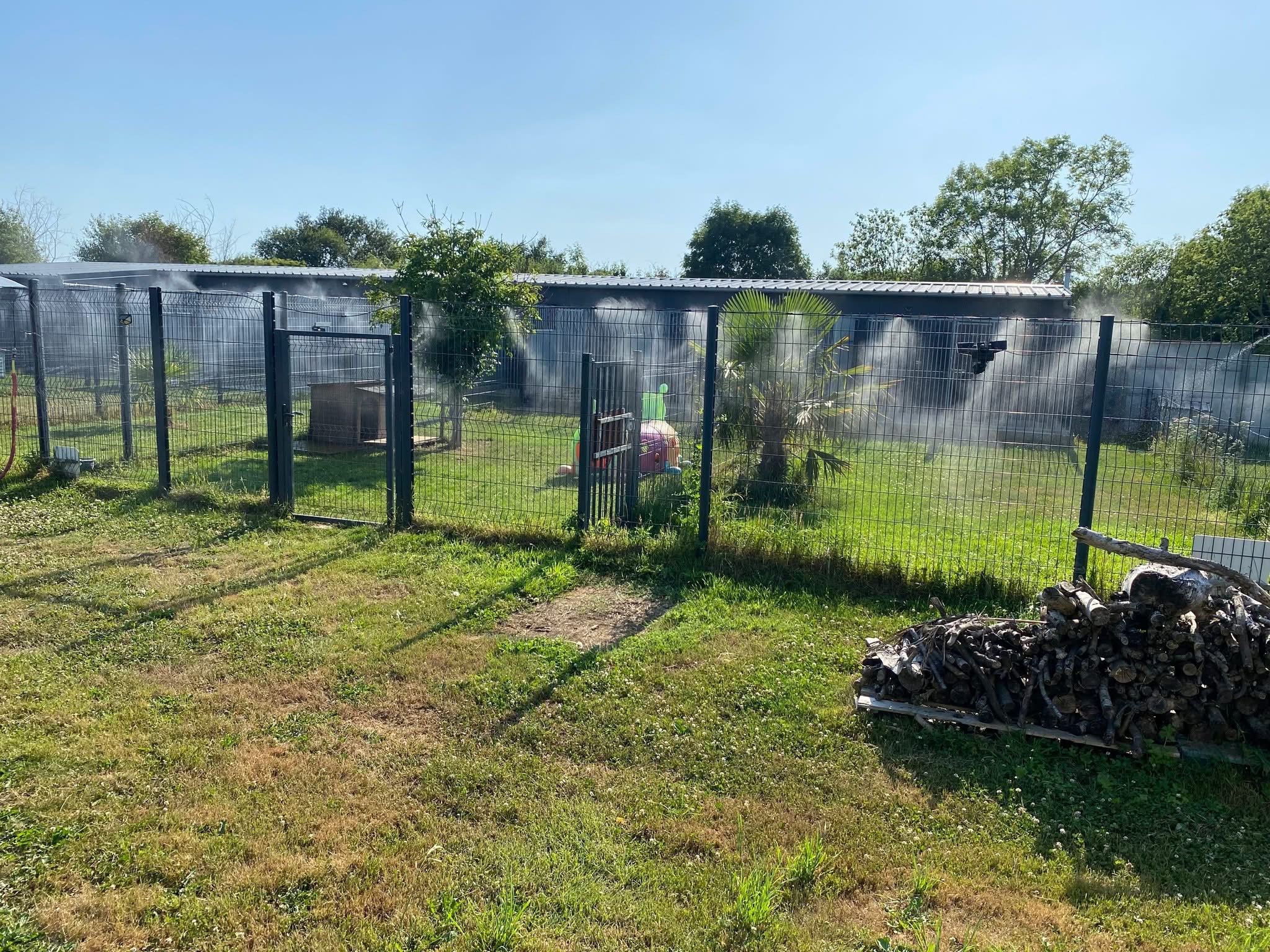 Pension Canine dans la Manche — photo