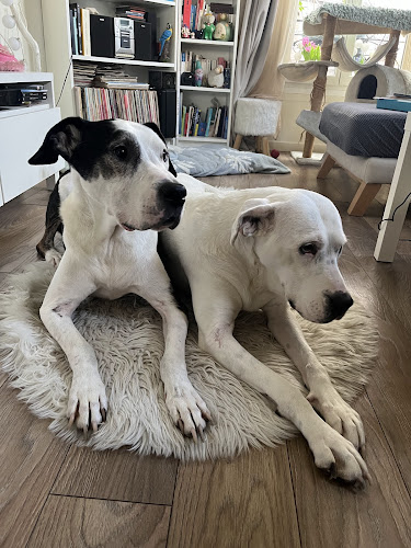Pet Services Paris