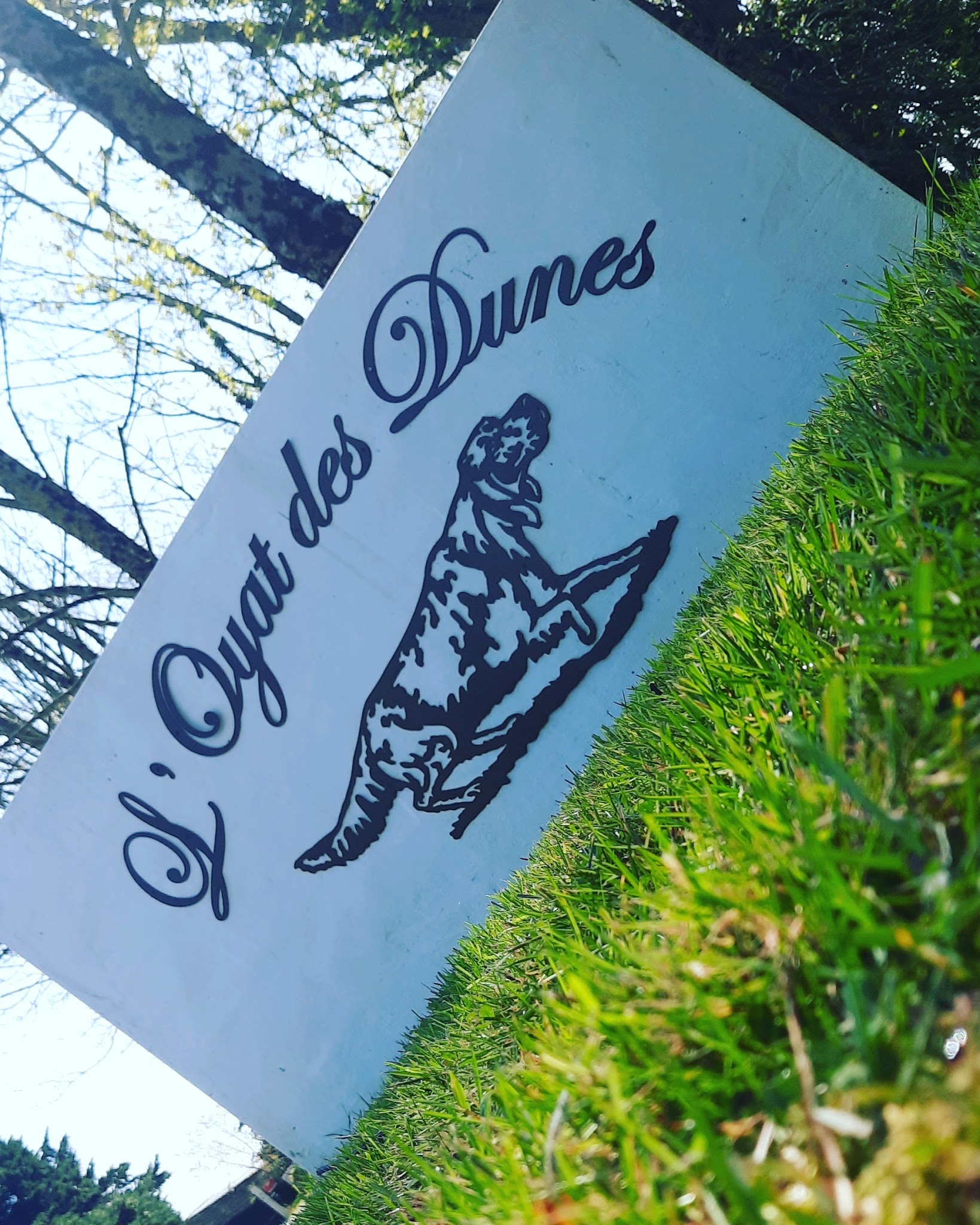 Domaine de l'Oyat des Dunes — photo