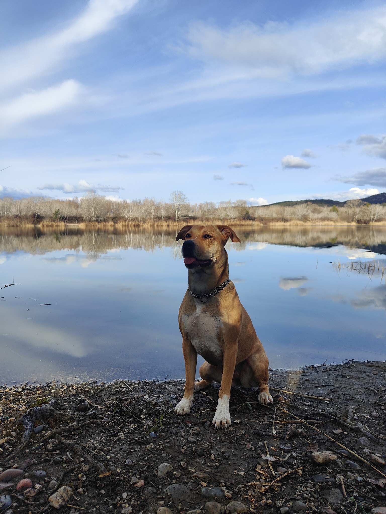 Petsitter Cristel — photo
