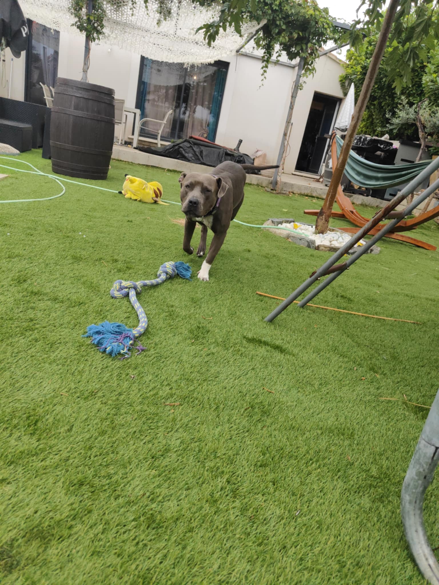 Petsitter Cristel — photo