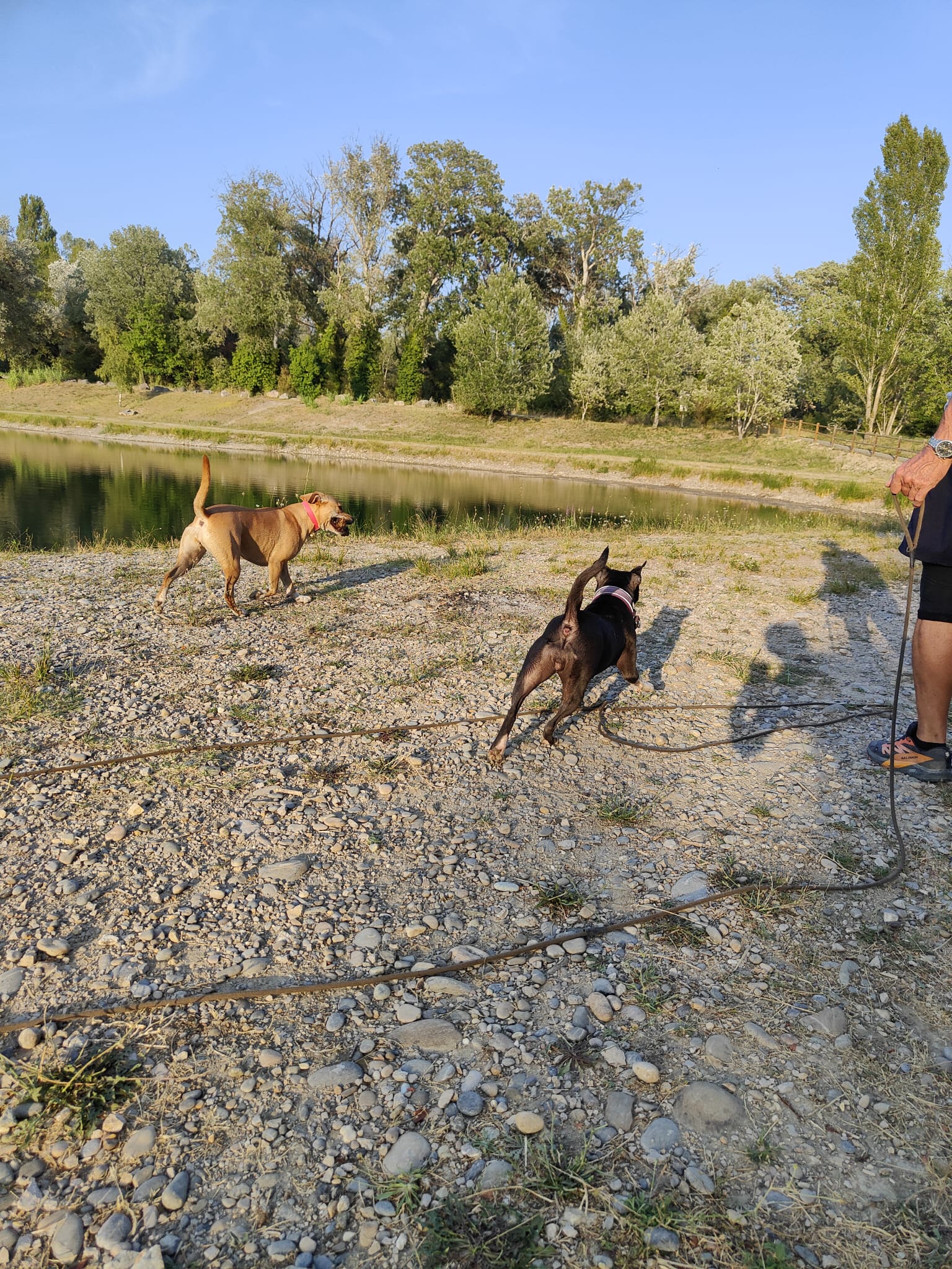 Petsitter Cristel — photo