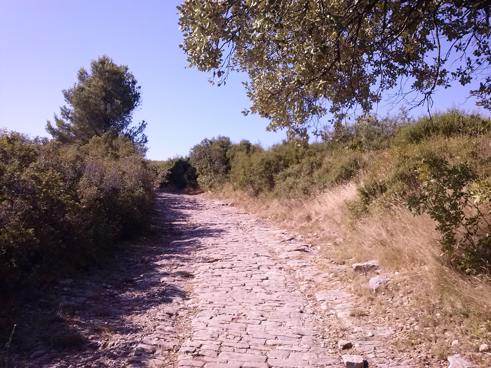 Elevage et Garderie des Paredasses — photo