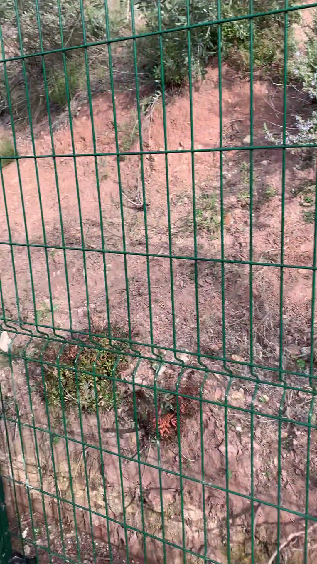 Pension Canine et Toilettage SAMARA — photo
