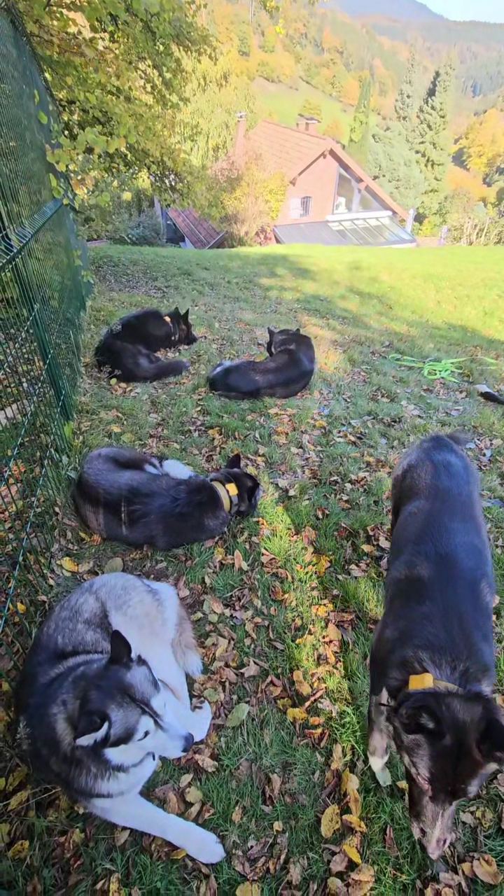 The Wolf Moon Farm — photo
