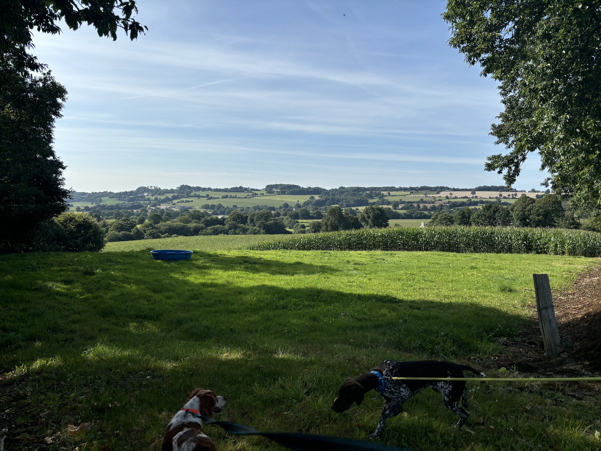 Au Gîte des 4 pattes — photo