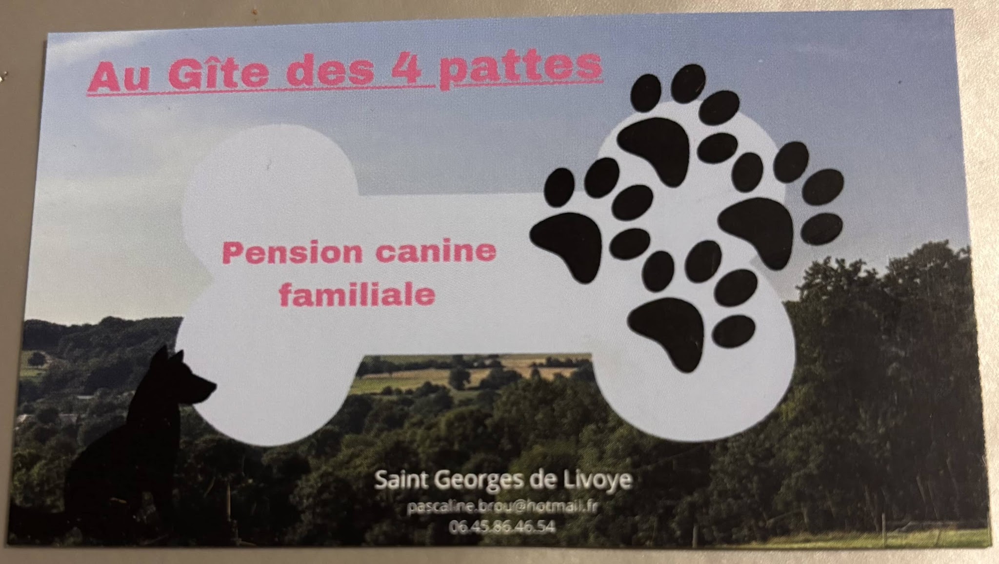 Au Gîte des 4 pattes
