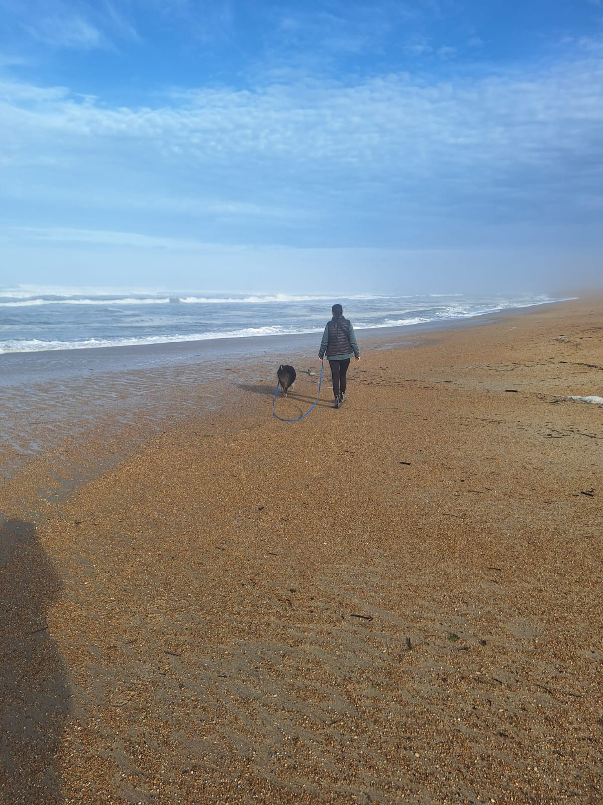 Mes Amis Les Animaux — photo
