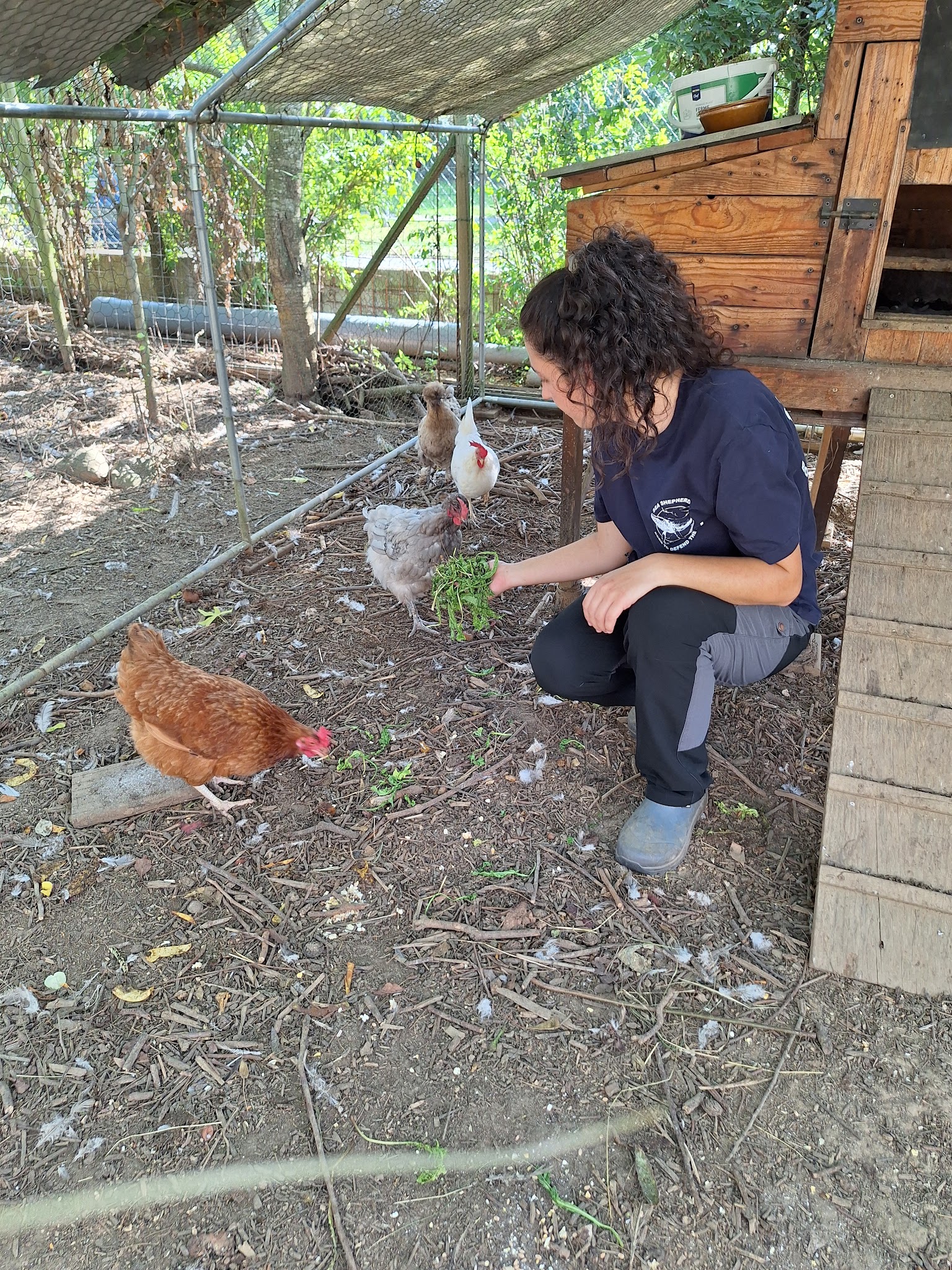 Mes Amis Les Animaux — photo