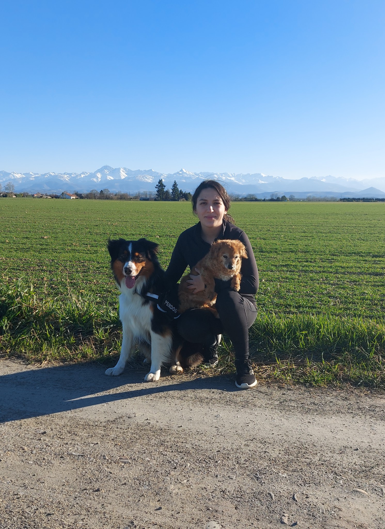 Mes Amis Les Animaux — photo