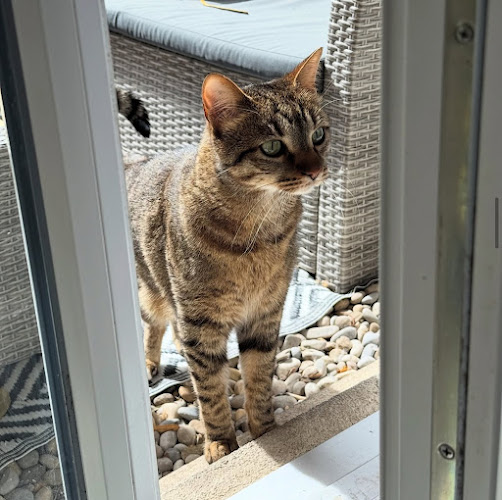AD Petsitting | Gardienne d'animaux
