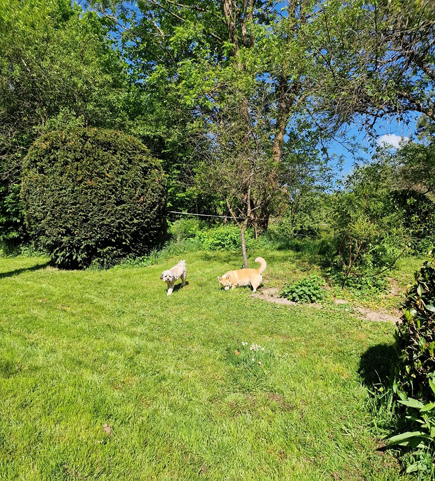 Les Patounes du Moulin