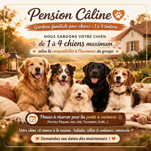 Pension Câline Villedaigne