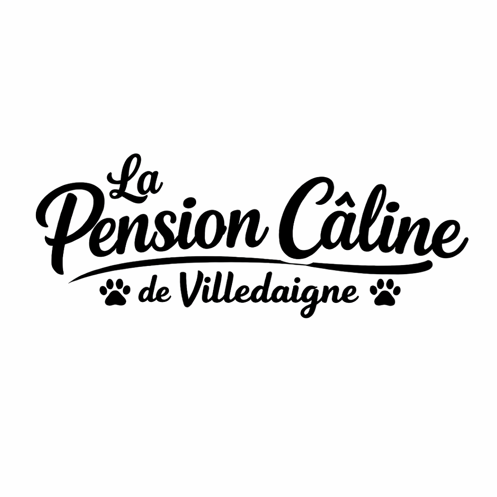 Pension Câline Villedaigne — photo