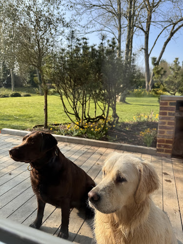 Happy'Woof Deauville