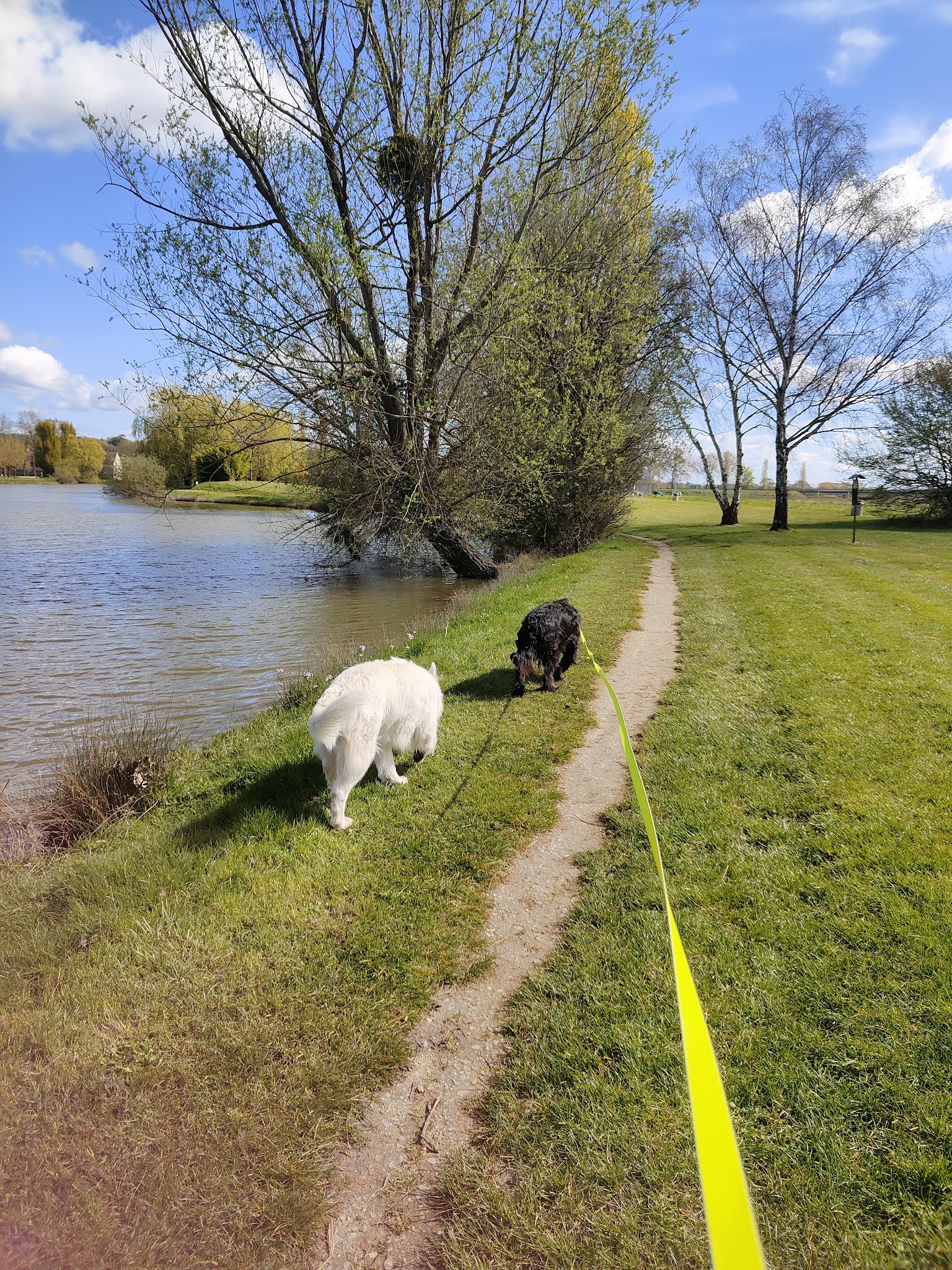Pension Canine — photo