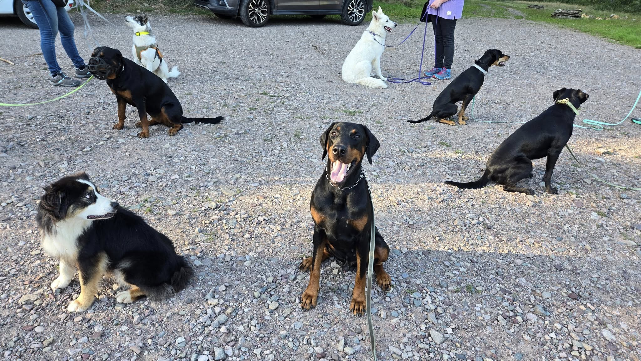 Espoir Canin — photo
