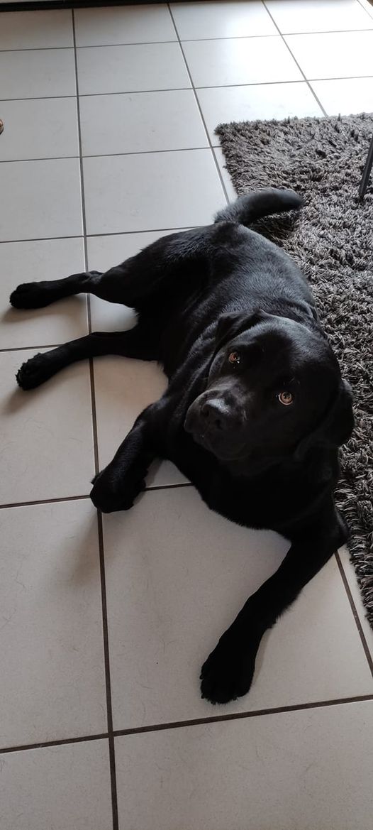 Espoir Canin — photo
